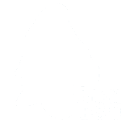 Batumi State University — Cyber Solutions partner