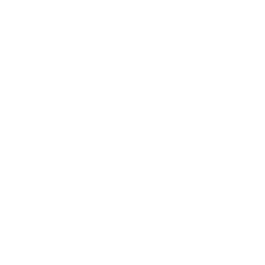 Samsung — Cyber Solutions partner